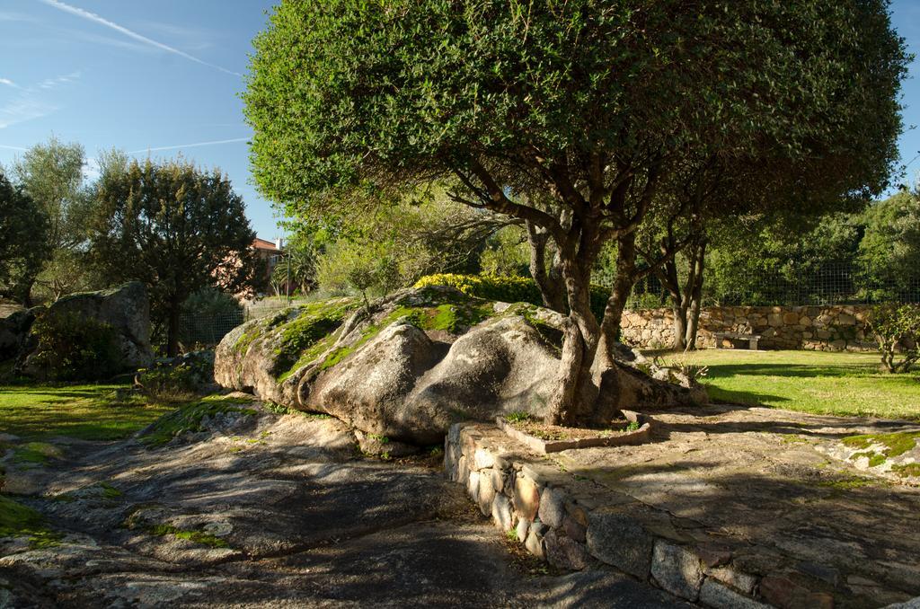 B&B Li Conchi Arzachena Dış mekan fotoğraf